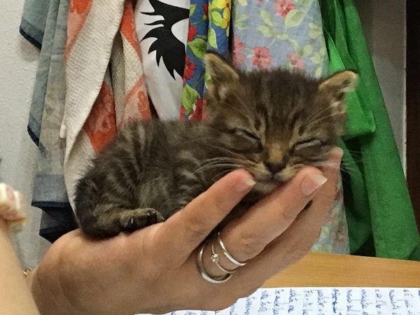 In mano alla mamma In mano alla mamma
